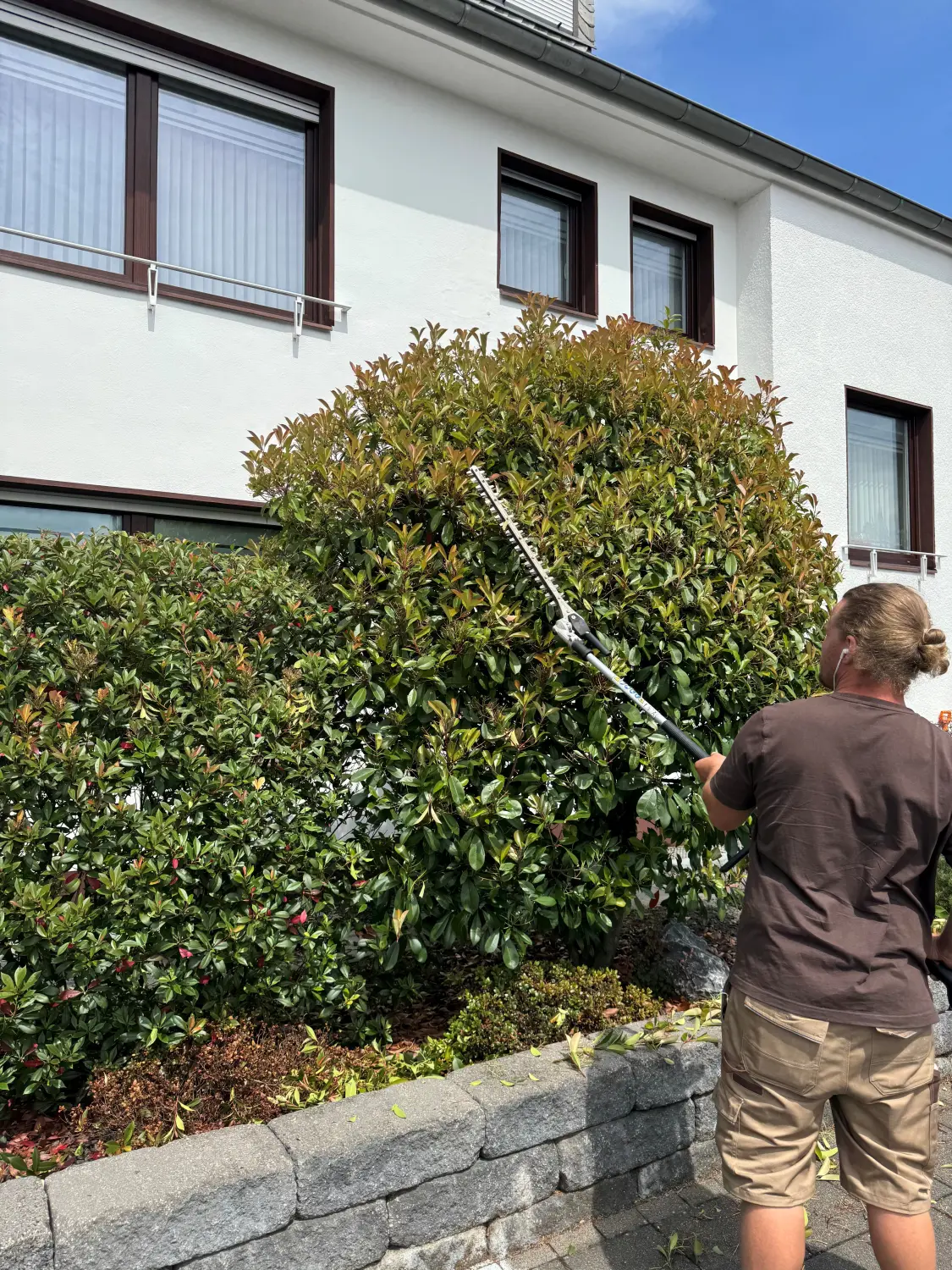 Heckenschnitt von Gartenbau Neumann