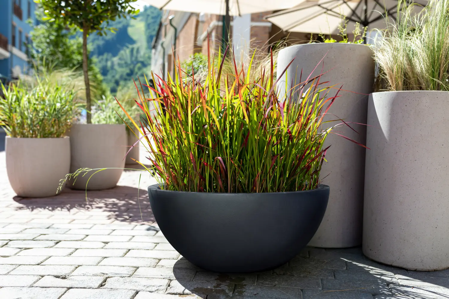 Gartengestaltung von Gartenbau Neumann