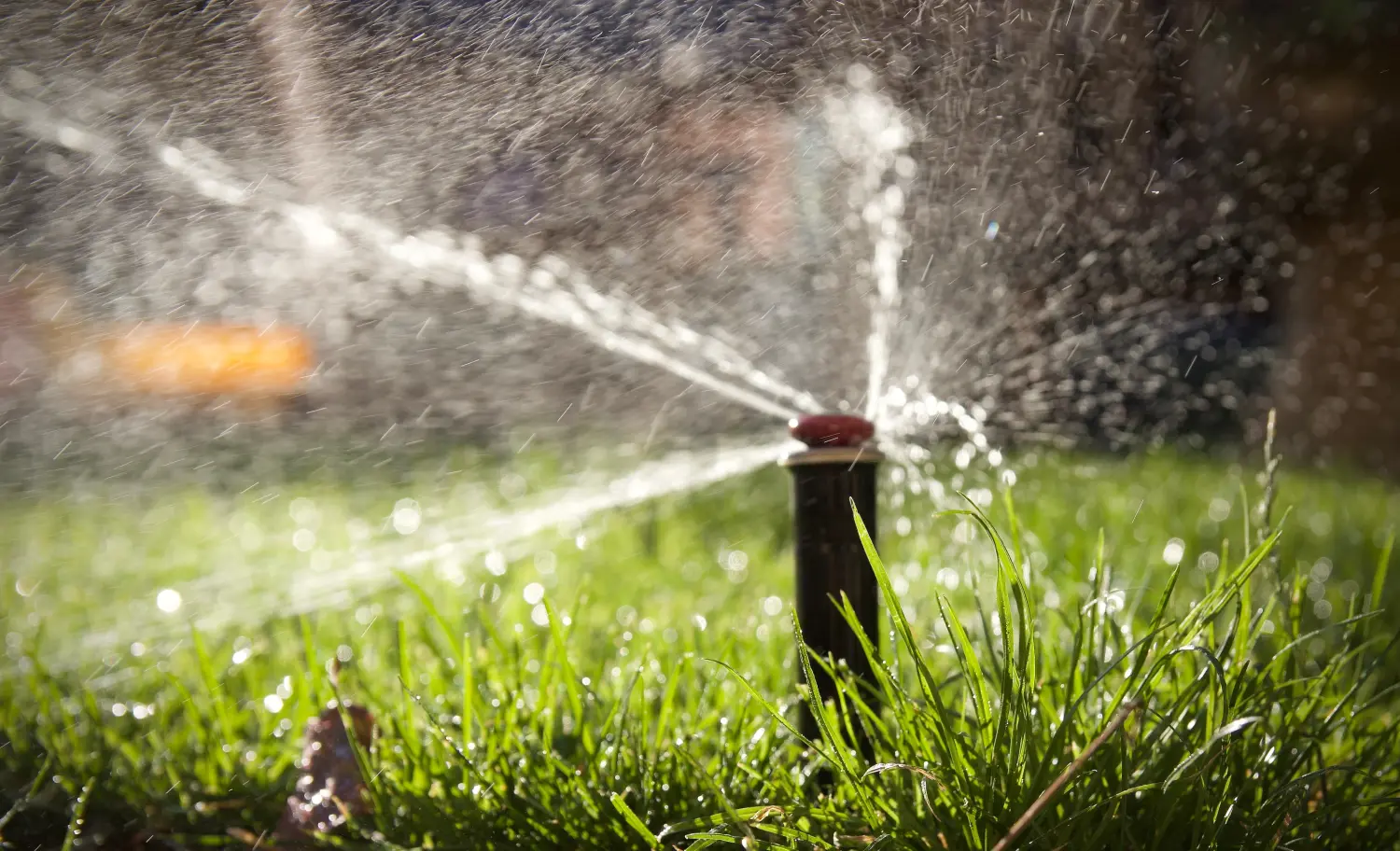 Bewässerungsanlagen von Gartenbau Neumann